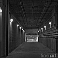 Tunnel of Heroes 2